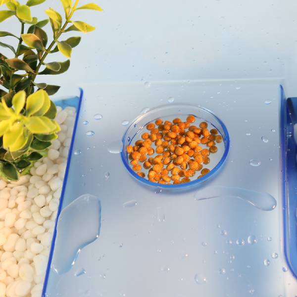 Turtle Tank Aquarium, Turtle Habitat, Reptile Habitat, Turtle basking Platform, Easy to Clean