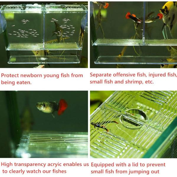 Aquarium Fish Tank Small Hatchery Breeder Box 12 x 7 x 7cm