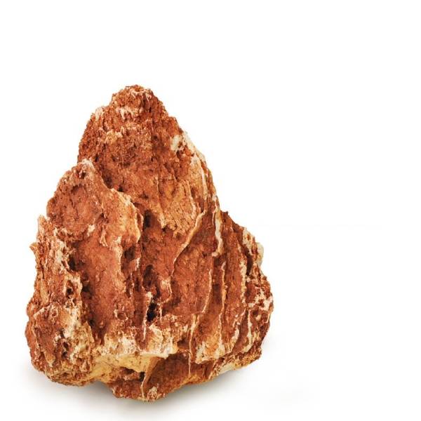 Natural Raw Chick Bone Landscape Rockery Aquarium 1KG
