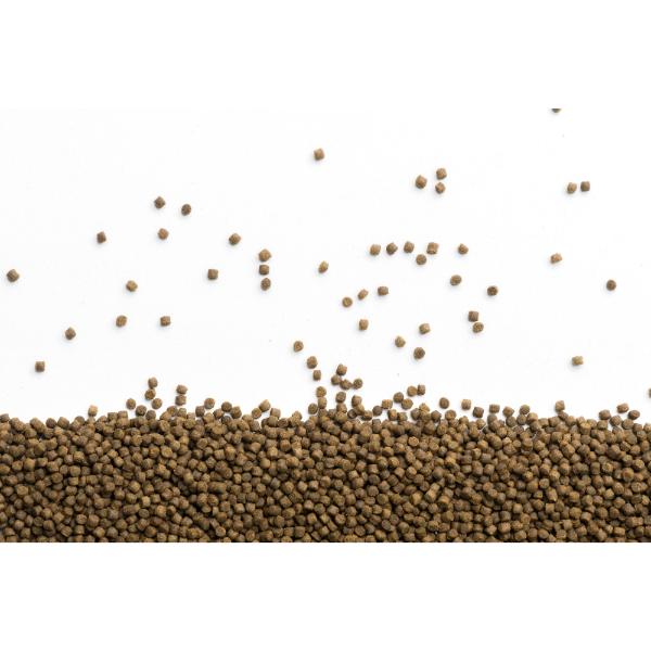 Porpoise Goldfish Food 180g with High Protein