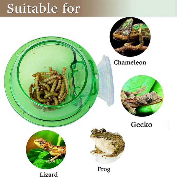 Chameleon Bowl, Reptile Feeding Feeder, Worm Live Fodder Container Water Dish Gecko Ledge Suction Cup Feeder Chameleon Supplies Accessories for Gecko Lizard Bearded Snakes Dragon