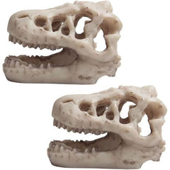 dinasour skull 8.5x5.5X4.5cm
