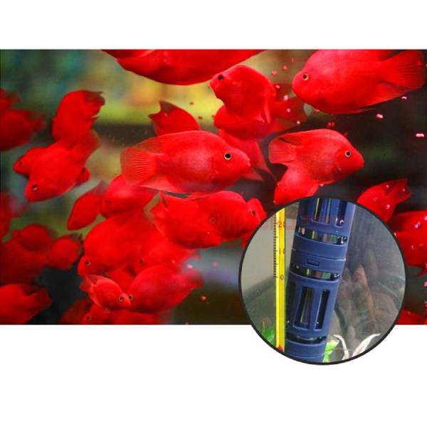 Fish Tank Heater Protector Guard Detachable 2sizes