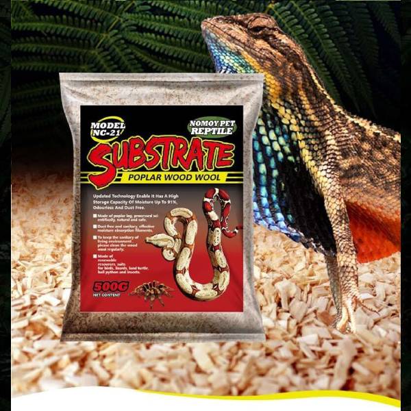 Feeding Clip Reptile Clamp Aquarium Cleaning Tools for Gecko Lizard Hedgehog Hamsters Guinea Pig Rat Cockroach Crickets Locusts Small Animals Supplies