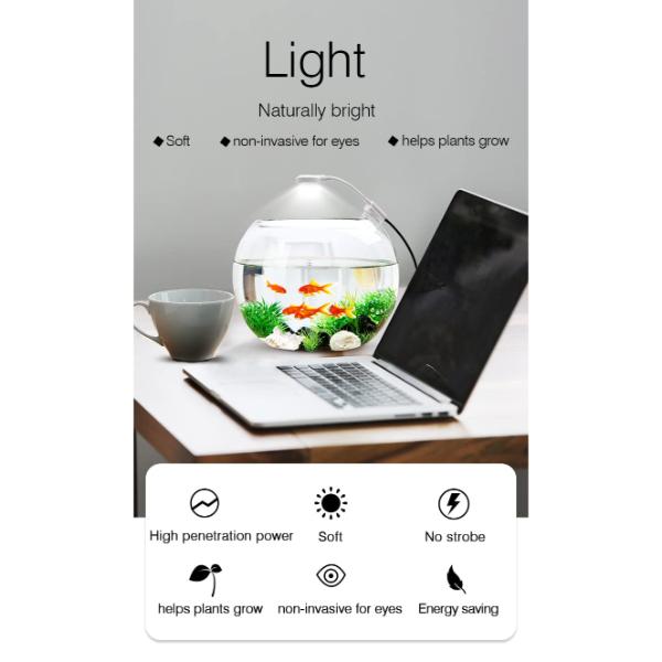 Small Aquarium Clip LED Light 3W