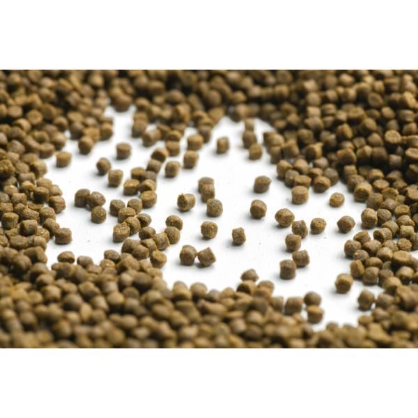 Porpoise Goldfish Food 180g with High Protein