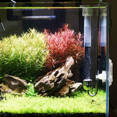 CO2 Bubble Counter Double Head