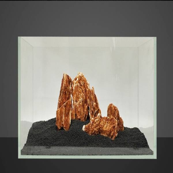 Natural Raw Chick Bone Landscape Rockery Aquarium 1KG