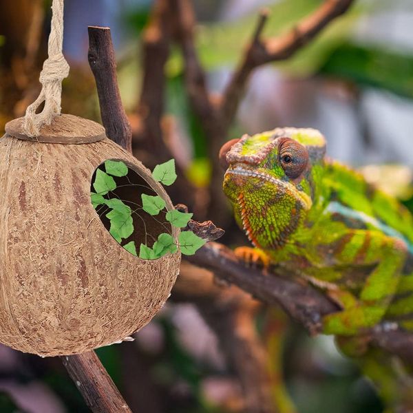 Leopard Gecko Coconut Husk Hut Reptile Habitat Accessories Hideout Hole Hanging Apply to Amphibians and Small Animals