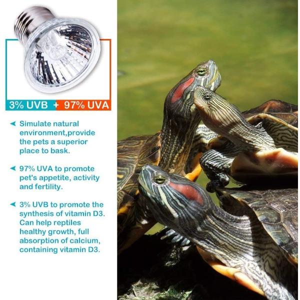 B&K –Turtle Warming Basking Lamp 25W, 50W and 75W UVA + UVB Full Spectrum Sun Lamp Sunbathe Heat Lamp/Bulb/Light for Reptiles Tortoise