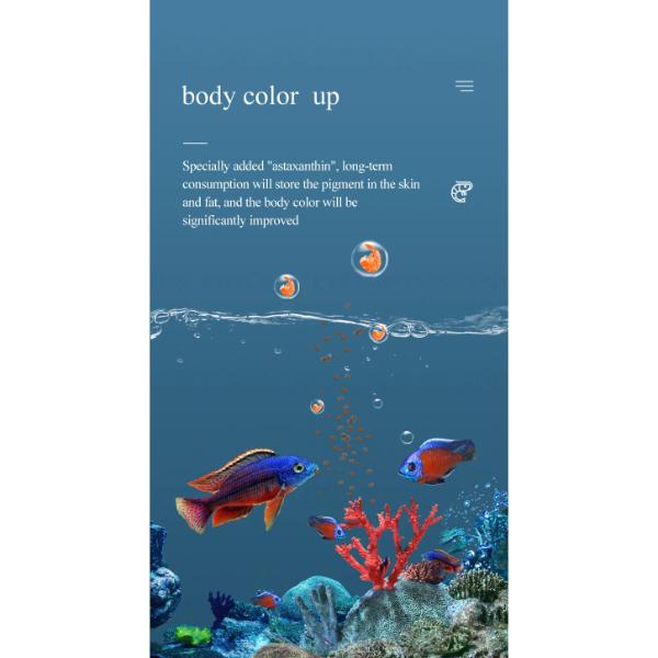 Cichlid Top Fish Food 100g and 260g Rich in Calcium and Vitamins
