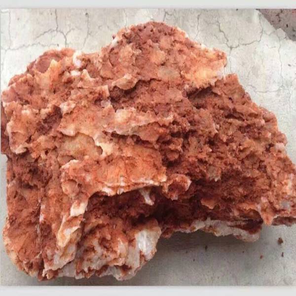 Natural Raw Chick Bone Landscape Rockery Aquarium 1KG
