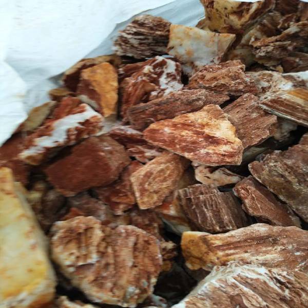 Natural Raw Chick Bone Landscape Rockery Aquarium 1KG