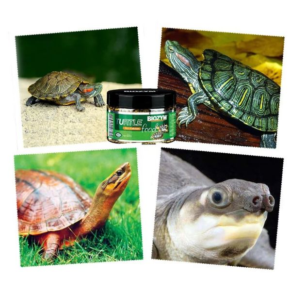 BIOZYM Aquarium Turtle Rich Calcium General Sinking to Feed 120g and 190g