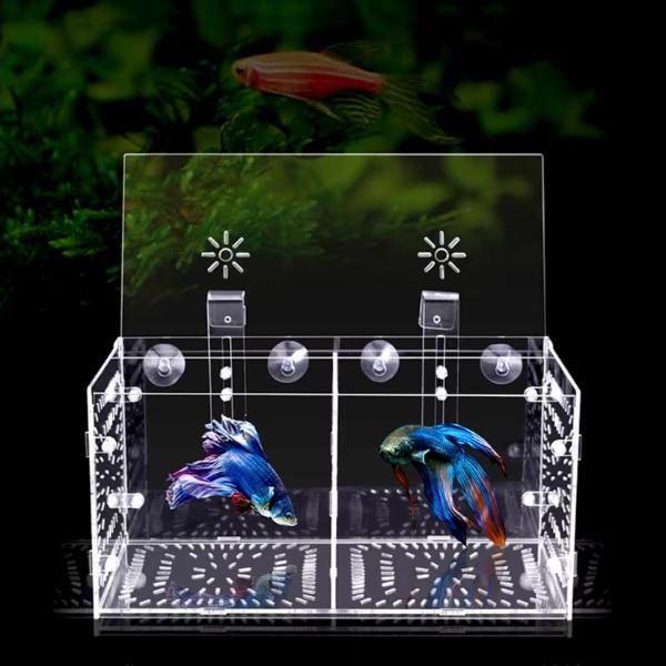 B&K Acrylic Transparent Fish Tank Breeding Isolation Box (2 Sizes)