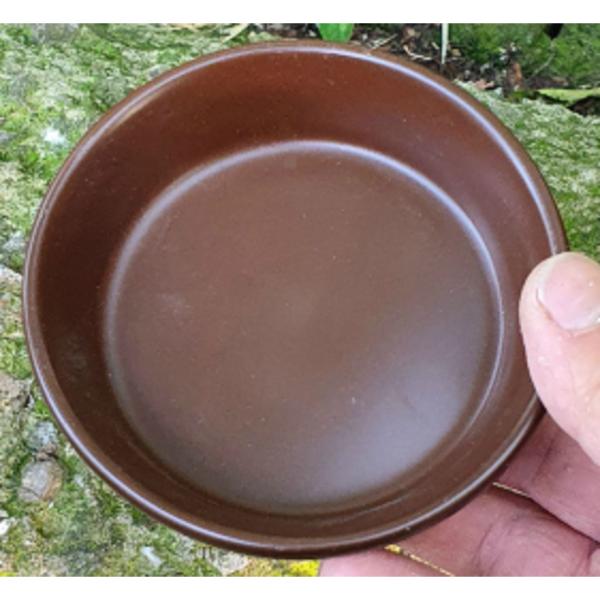 Reptile Feeding Bowl Brown Color
