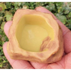 Reptile Water Bowl Terrarium Water Dish Food Feeding for Amphibian