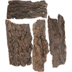 B&K Reptile Bark Gecko Backdrop Wooden Driftwood
