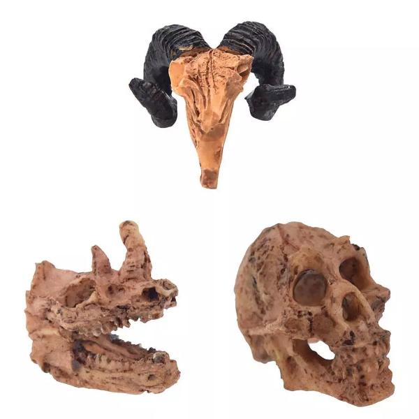 Aquarium Animal Skull Decor