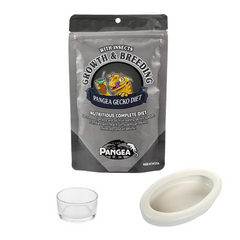 Pangea Growth & Breeding Complete Gecko Diet with Insects 56g, Small Reptile Feeding Dish Bowl, White Ceramic Reptile Food Bowl NFF-49 - COMBO