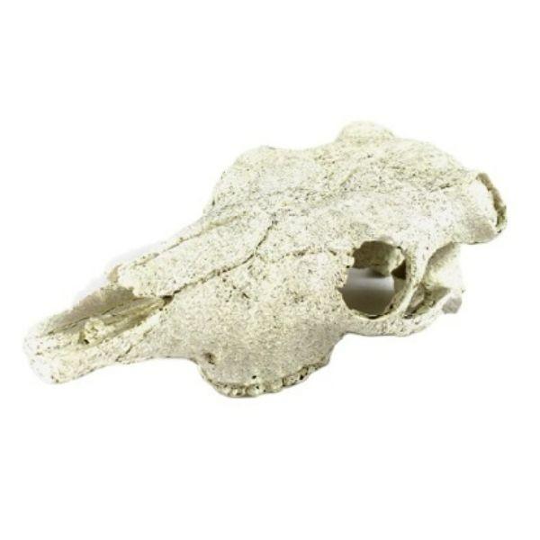 NOMOYPET Exotic Reptile Hide Landscape Skull Bone