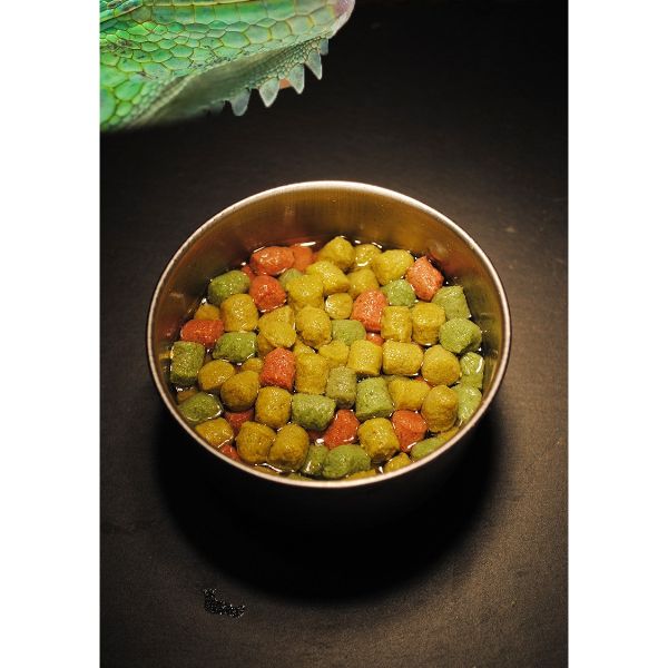 Knowing Tortoise Food Herbaceous and Fruits with Vegetables