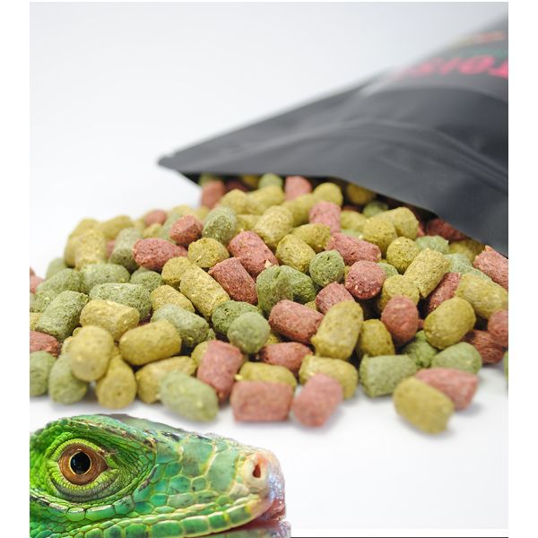 Knowing Tortoise Food Herbaceous and Fruits with Vegetables