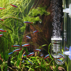 CO2 Diffuser Plants CO2 Regulator Moss Atomizer Bubble Counter 2 Sizes