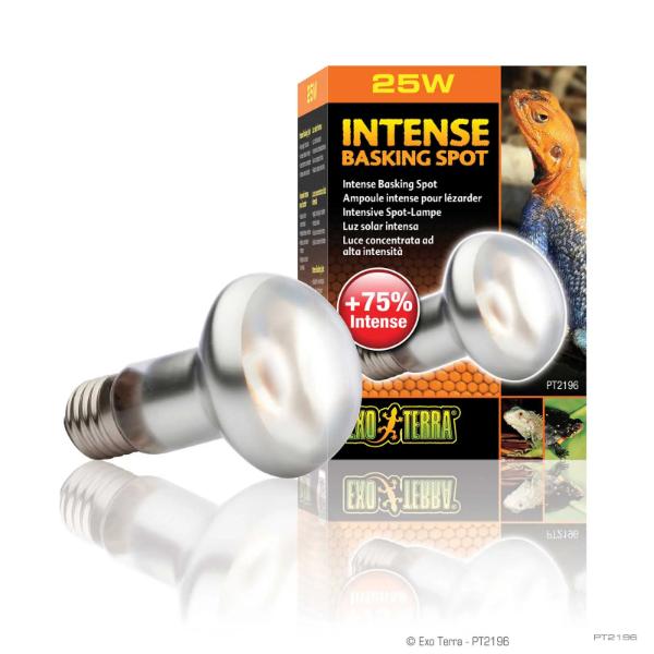 Exo Terra Reptile Intense Basking Spot Light Increase Luminous Intensity