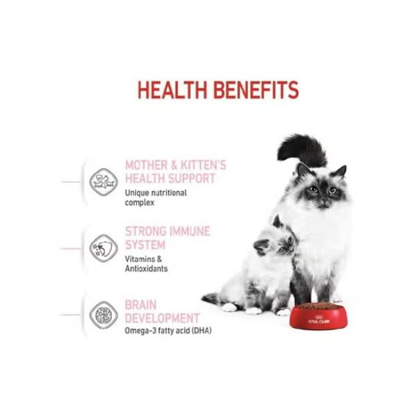 ROYAL CANIN B&K Feline Breed Nutrition Persian Adult Cat Dry Food 4kg