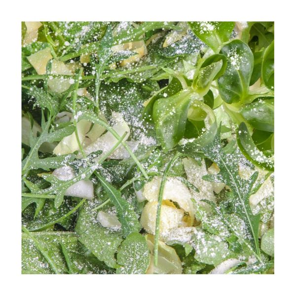 Sera Reptimineral H 100 Ml (85 G)