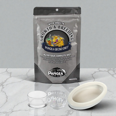 Pangea Growth & Breeding Complete Gecko Diet with Insects 56g, Small Reptile Feeding Dish Bowl, White Ceramic Reptile Food Bowl NFF-49 - COMBO