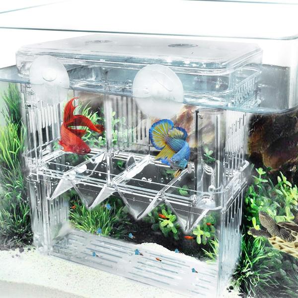 Multi-Functional Isolation Breeding Incubator Box 18x8.5x15cm