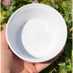 Reptile Feeding Bowl - 11.5 X 4.3 CM