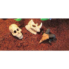 Aquarium Animal Skull Decor