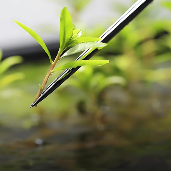 Aquapro Stainless Steel 45cm Straight Curved Aquarium Tweezer