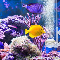 Hydroponic Quiet Oxygen Diffuser