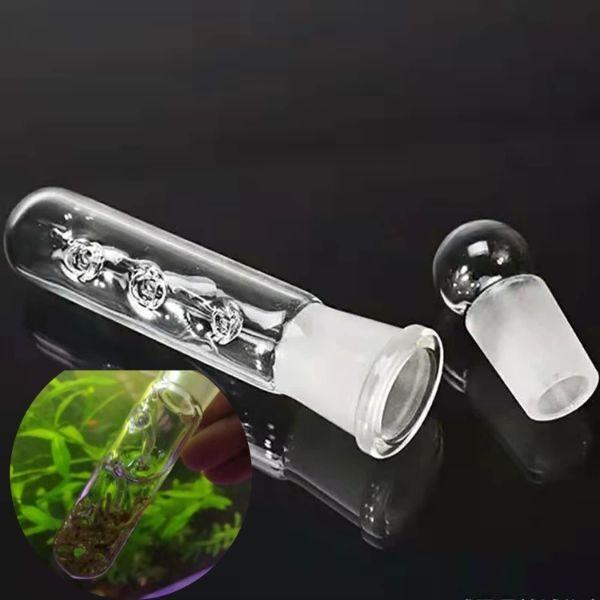 Planaria Trap 3 Holes Aquarium