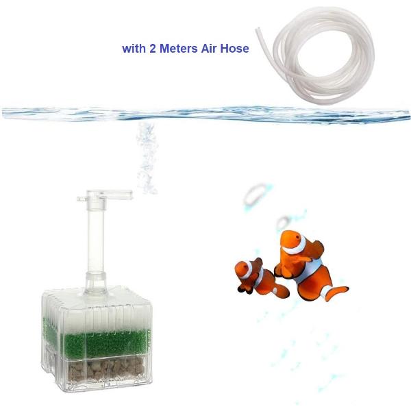 Sponge Filter XY 2011