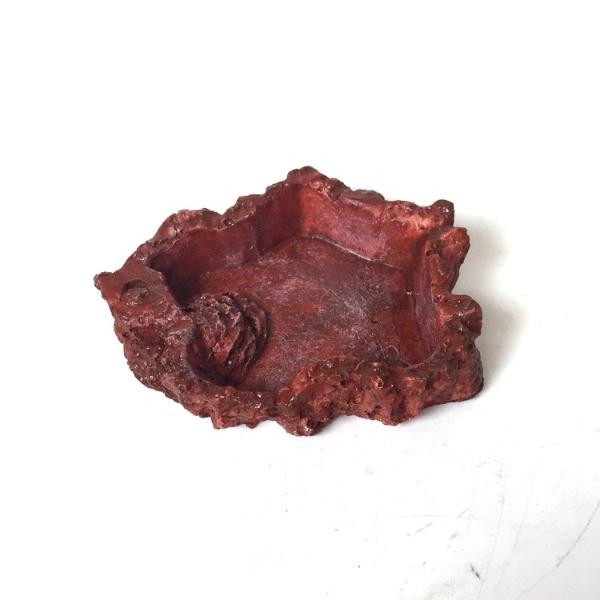 Reptile Water Red Dish Design for Leopard, Gecko, Lizard, Spider, Chameleon