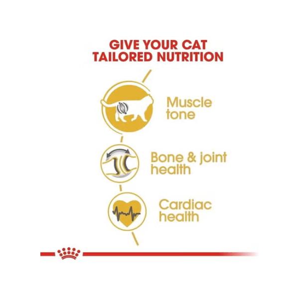 Royal Canin B&K Feline Breed Nutrition Persian Adult 4Kg Cat Dry Food