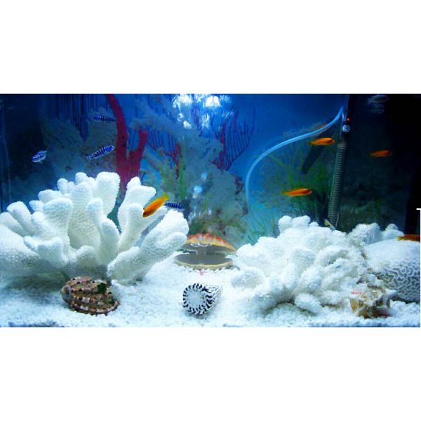 B&K Natural White Stone Fish Tank Landscape Bottom Aquarium (1Kg)