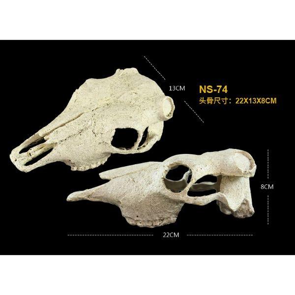 NOMOYPET Exotic Reptile Hide Landscape Skull Bone