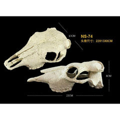 NOMOYPET Exotic Reptile Hide Landscape Skull Bone NS-74