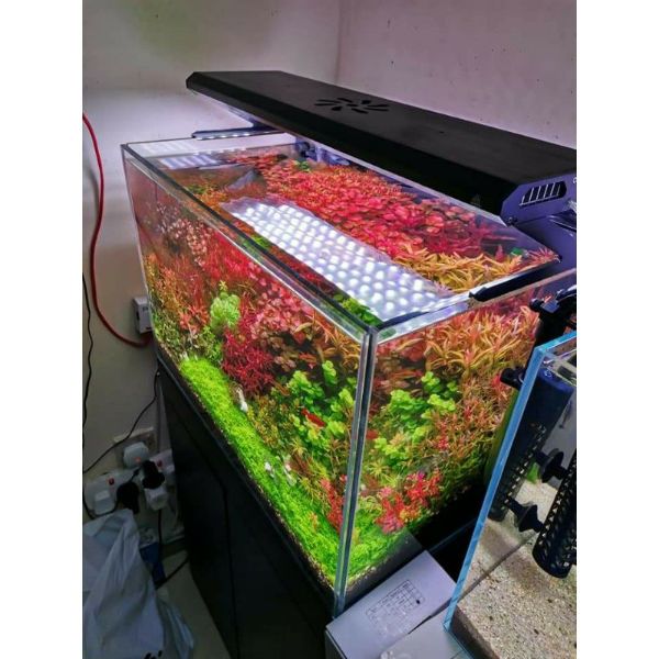 WEEK AQUA P Series Pandora APP control Aquarium Light P600 – P900 – P1200 Pro Adjustable height for big Size Fish Tank LED