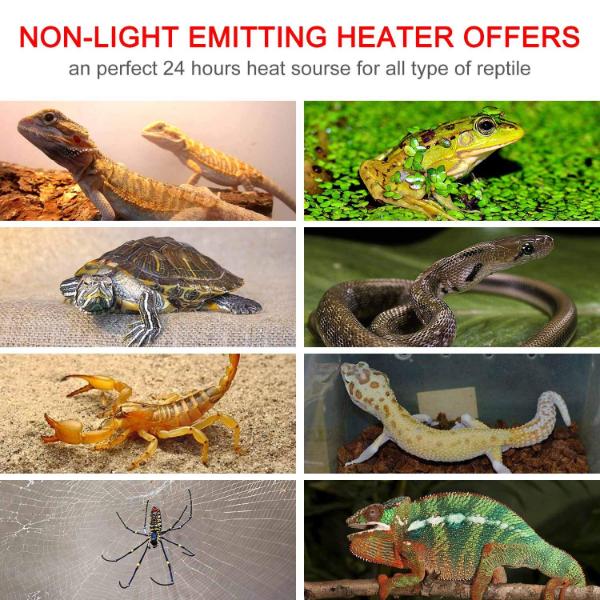 Reptile Heating Pad with Temperature Control, Adjustable Heat Mat for Reptiles Turtle, Aquarium Terrarium Heater 5W/ 7W/ 14W/ 20W/ 28W/ 35W