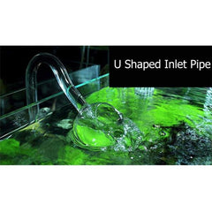 13mm Glass Lily Pipe - Ball Design - In & Out without Skimmer