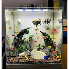Mini Aquarium Full Set with LED Light
