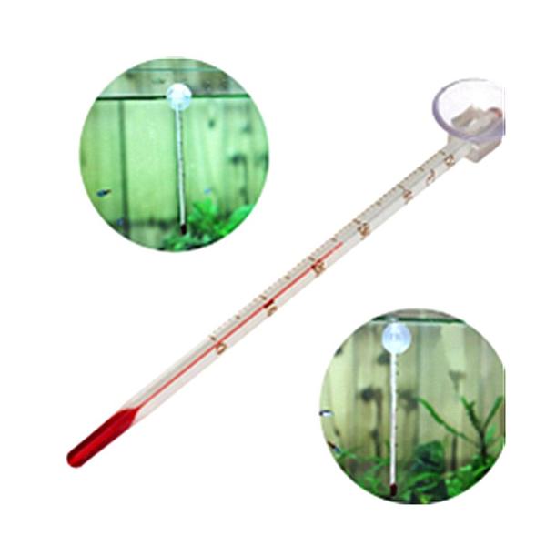 Long Glass Thermometer