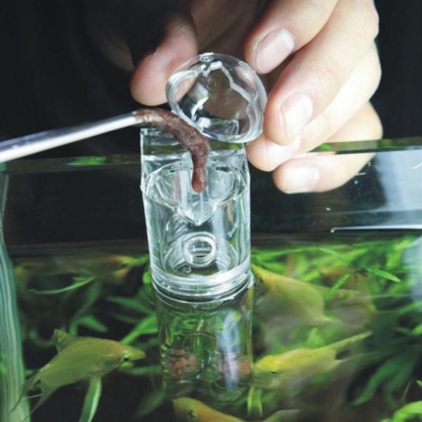 Planaria Trap Worm Catcher